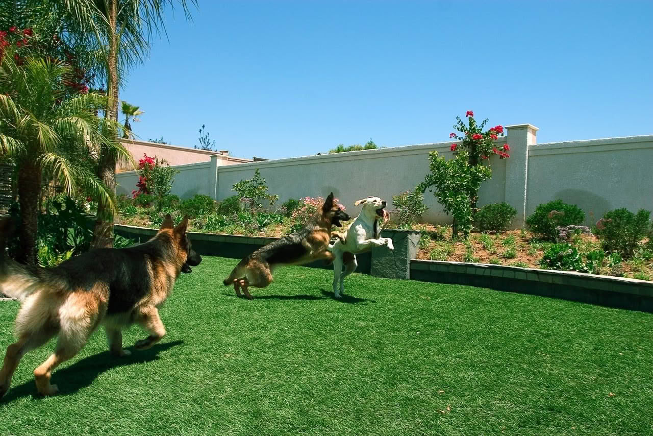 is artificial grass good for dogs