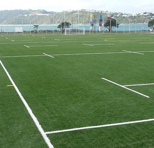 Teamturf Artificial Turf Surfaces For Sport, Play And Home New Zealand St Pats