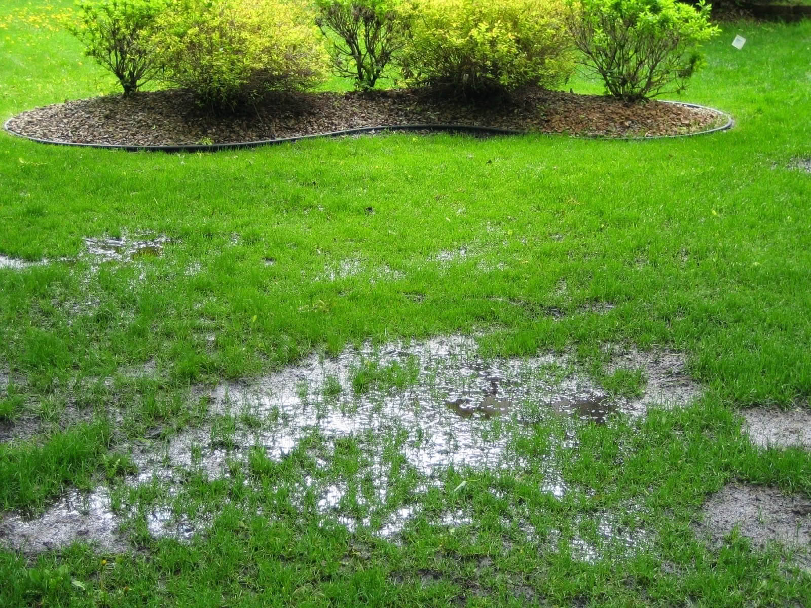 Can An Artificial Grass Rug Get Wet?