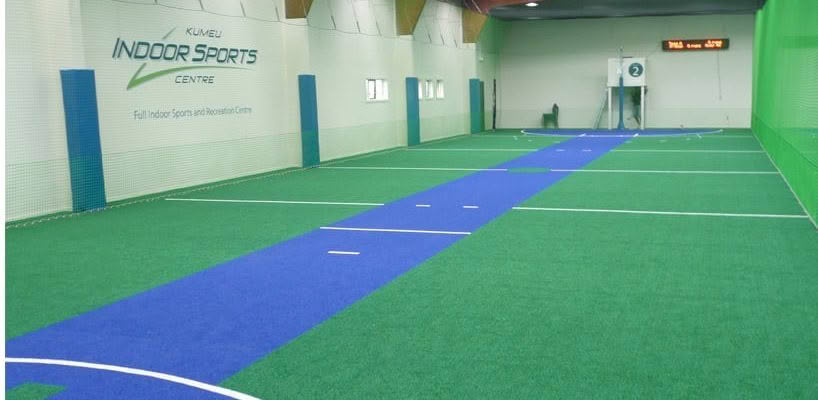 Teamturf Artificial Turf Sports Cricket Turf