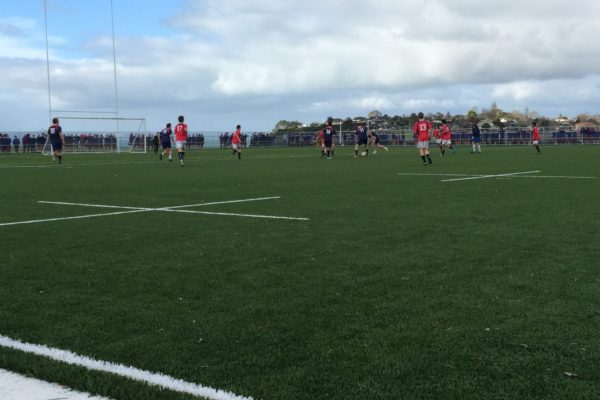 Macleans College Rugby & Soccer Turf
