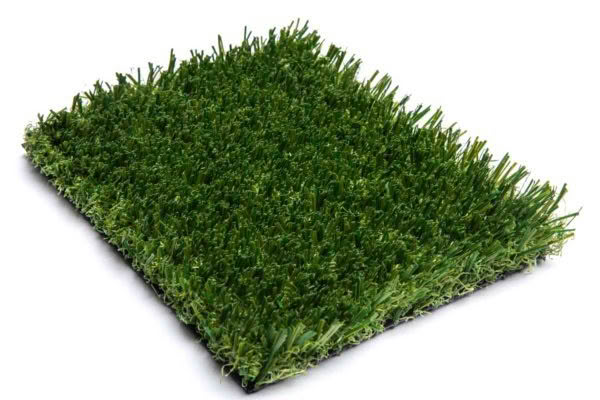 Evergreen Turf