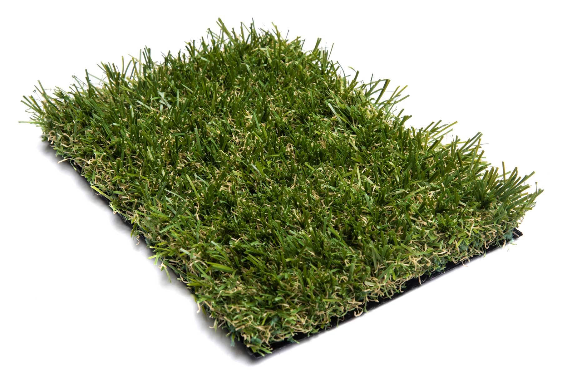 Summer Cool Turf