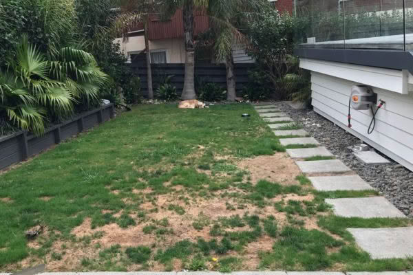 Mairangi Bay - Residential Turf Before