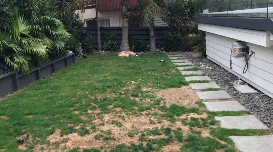 Mairangi Bay - Residential Turf Before