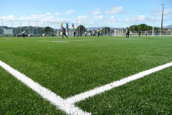 St Patricks Wellington Synthetic Soccer Turf