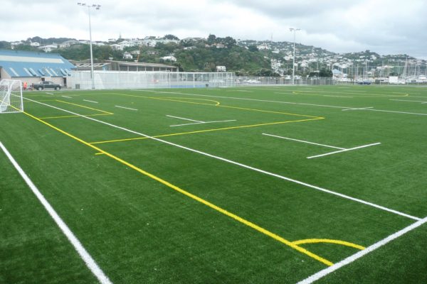 St Patricks Wellington Synthetic Soccer Turf