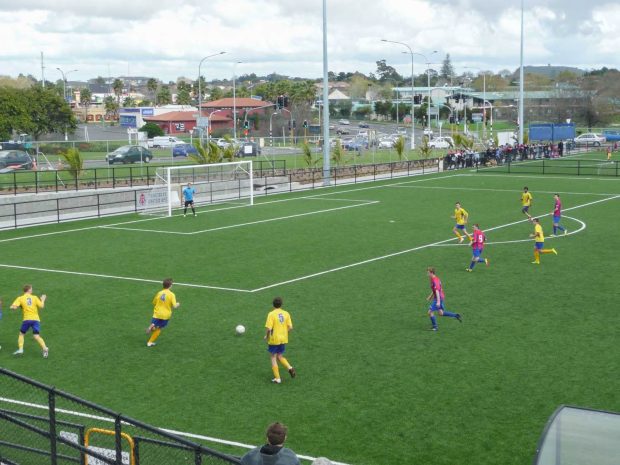 William Green Domain Soccer turf