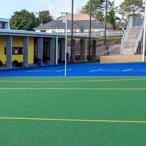 Fixed Netball Goals