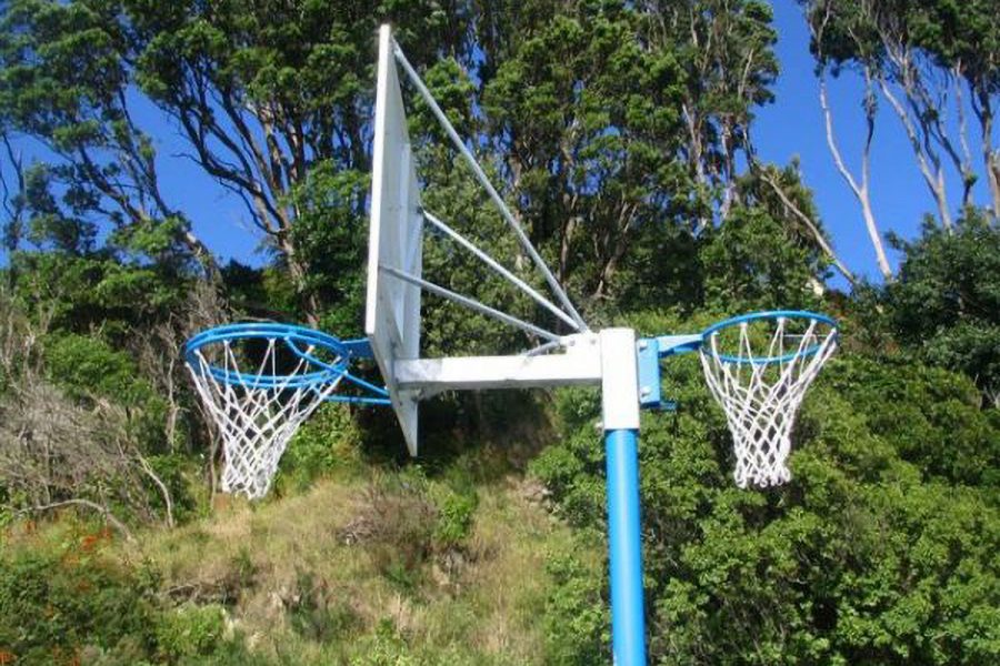 Reversible Basketball/netball Hoop