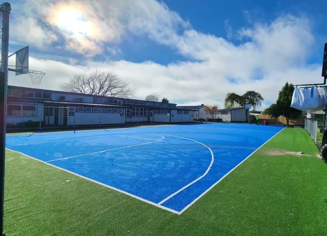 Check out the new Elite turf surface just installed at Vardon School! 

Our Elite turf is top of the range, super safe, and ready for all the action—perfect for all students to play, train, and have fun! 

A grand opening today with a wonderful karakia, waiata and haka by the students.

#artificialgrass #school #turf #sportsturf #astroturf #schoolturf #basketball #artificialturfspecialists #teamturfnz